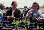 Students Working in the Plant Nursery