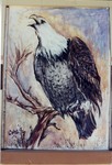 "Windows Project" Eagle Painting
