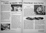 Farmworkers Win Digiorgio Elections: Campesinos Ganán Election de Digiorgio