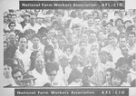 National Farmworkers Association, AFL-CIO: Asociación Nacional de Trabajadores Agrícolas, AFL-CIO