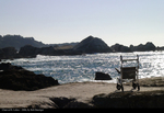 Walking Chair at Point Lobos by Robert Danziger