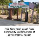 [2023 Winner] The Removal of Beach Flats Community Garden: A Case of Environmental Racism