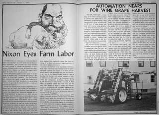 Nixon Eyes Farm Labor & Automation Near for Wine Grape Harvest: Nixon Apunta a La Mano de Obra Agrícola y La Automatización Cerca de la Cosecha de Uva Para Vino