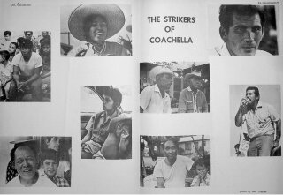 The Strikers of Coachella: Los Huelguistas de Coachella