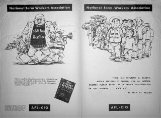 National Farmworkers vs. Teamsters