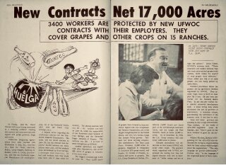 New Contracts: Nuevos Contratos