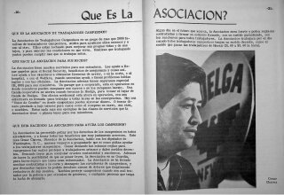 Que es la Asociación? What is the Association?
