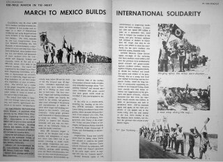 March to Mexico Builds International Solidarity: Marcha a México Construye Solidaridad Internacional
