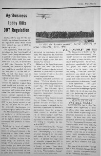 Agribusiness Lobby Kills DDT Regulations: El Cabildeo de la Agroindustria Acaba con las Regulaciones del DDT