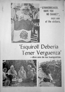 Women on the frontlines: Mujures parte de la unión