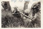 Photographic Postcard of Two Soldiers with a Machine Gun