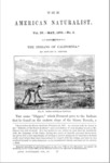 1870 - The Indians of California, Chever, Edward E.