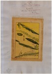 Panoche de San Juan y los Carrisalitos, Diseño 545, GLO No. 235, Merced County, and associated historical documents.